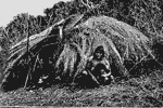 native shelter